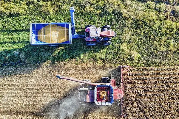 Farm workers covered by workers compensation for small business in Vero Beach, FL